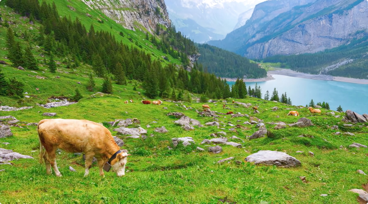 Top autoverhuur aanbiedingen in Kandersteg